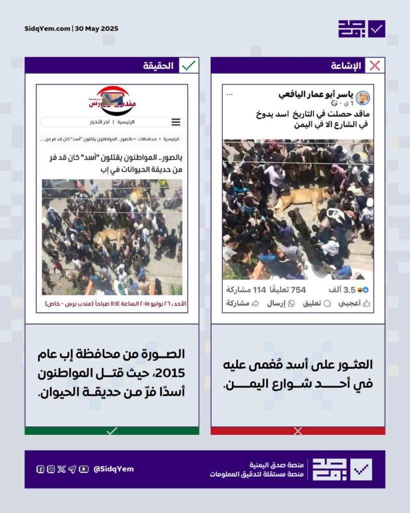 لا صحة للصورة المتداولة لأسد مغمى عليه في أحد شوارع اليمن