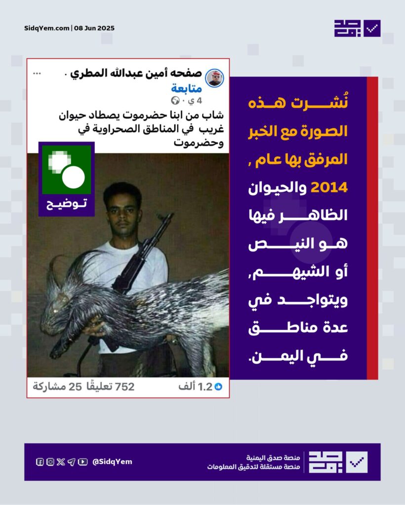 الصورة المتداولة تعود لعام 2014 وتظهر حيوان “النيص” المنتشر في اليمن